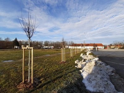 vysadba-stromu-parkoviste-2023